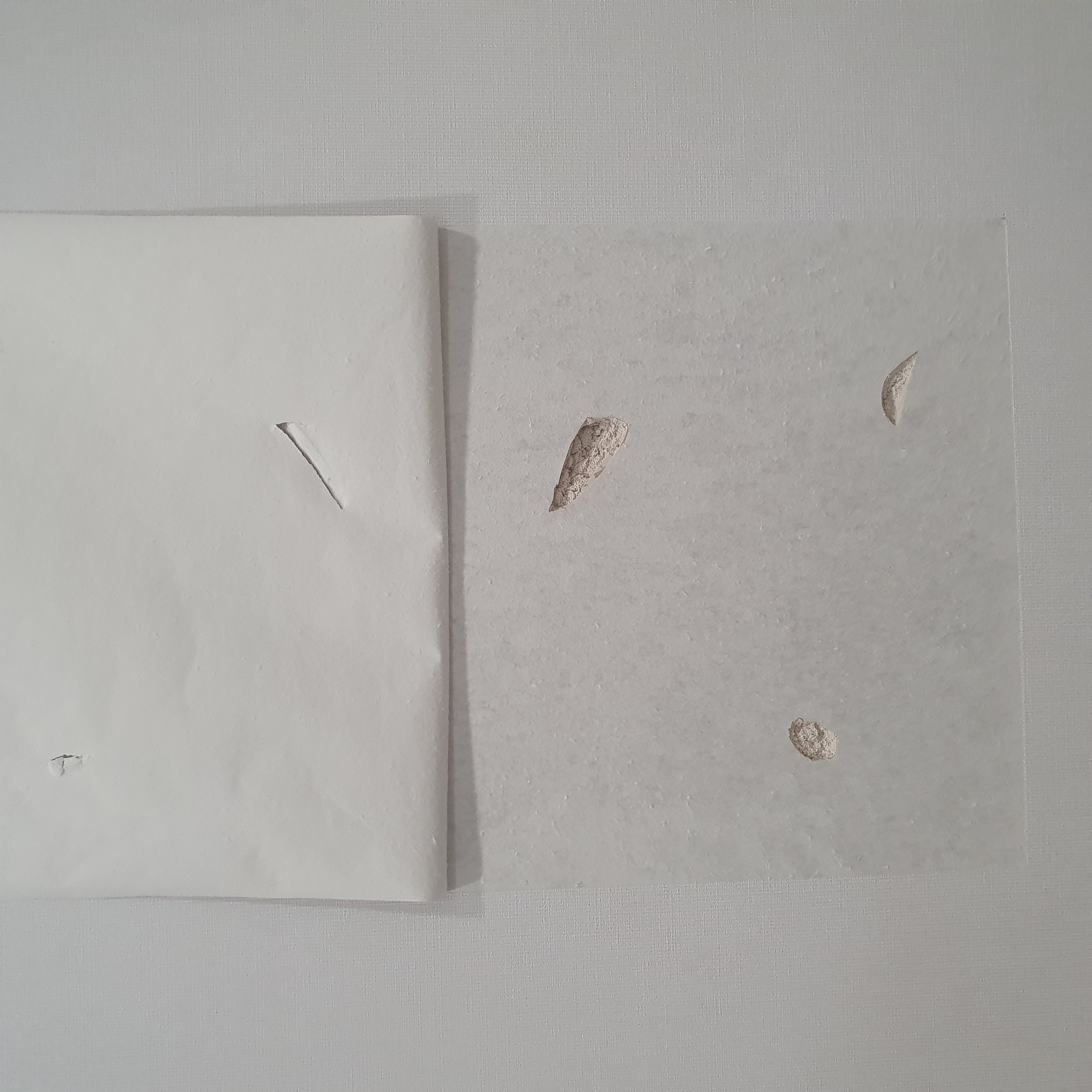 사진 설명을 입력하세요