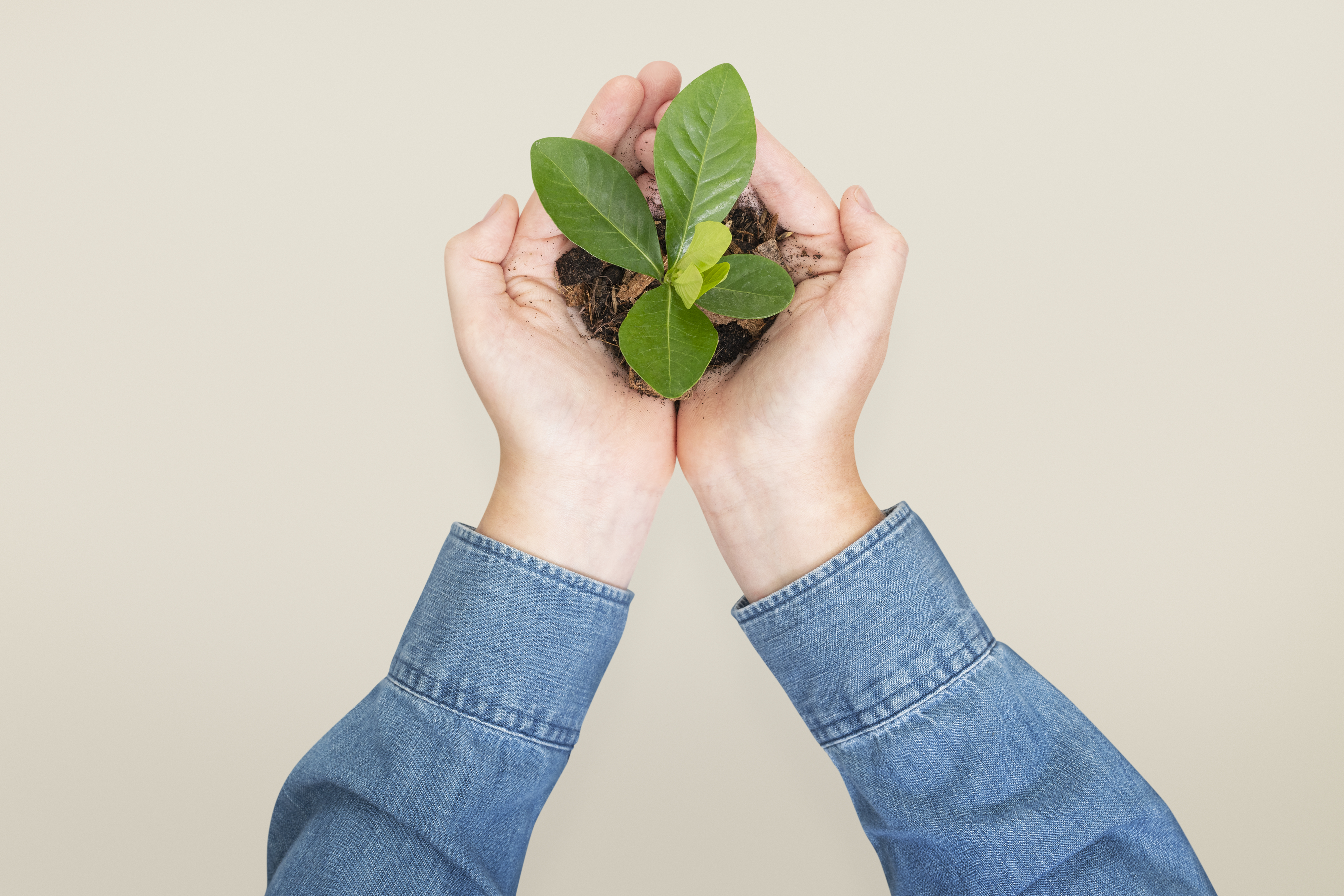 Sustainability Through Digital Learning: How eLearning Reduces Carbon Footprint