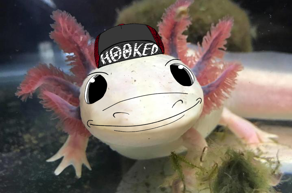 albinoaxolotl