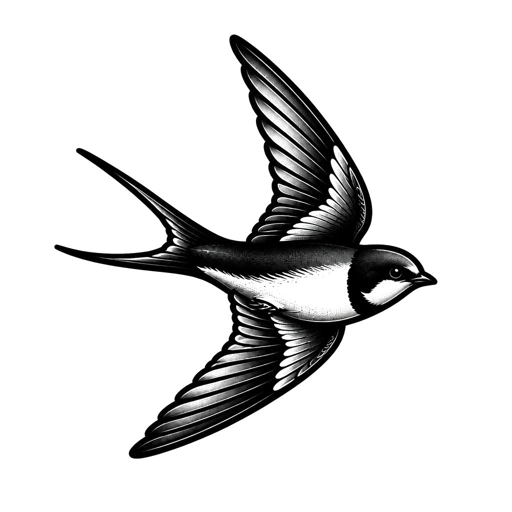 Shaded swallow