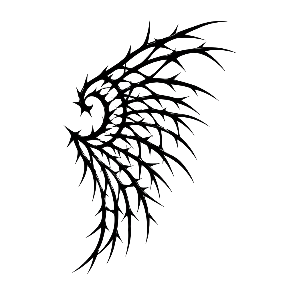 A wing built entirely from thorns