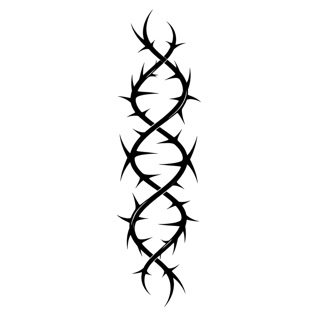 A double helix of thorned strands