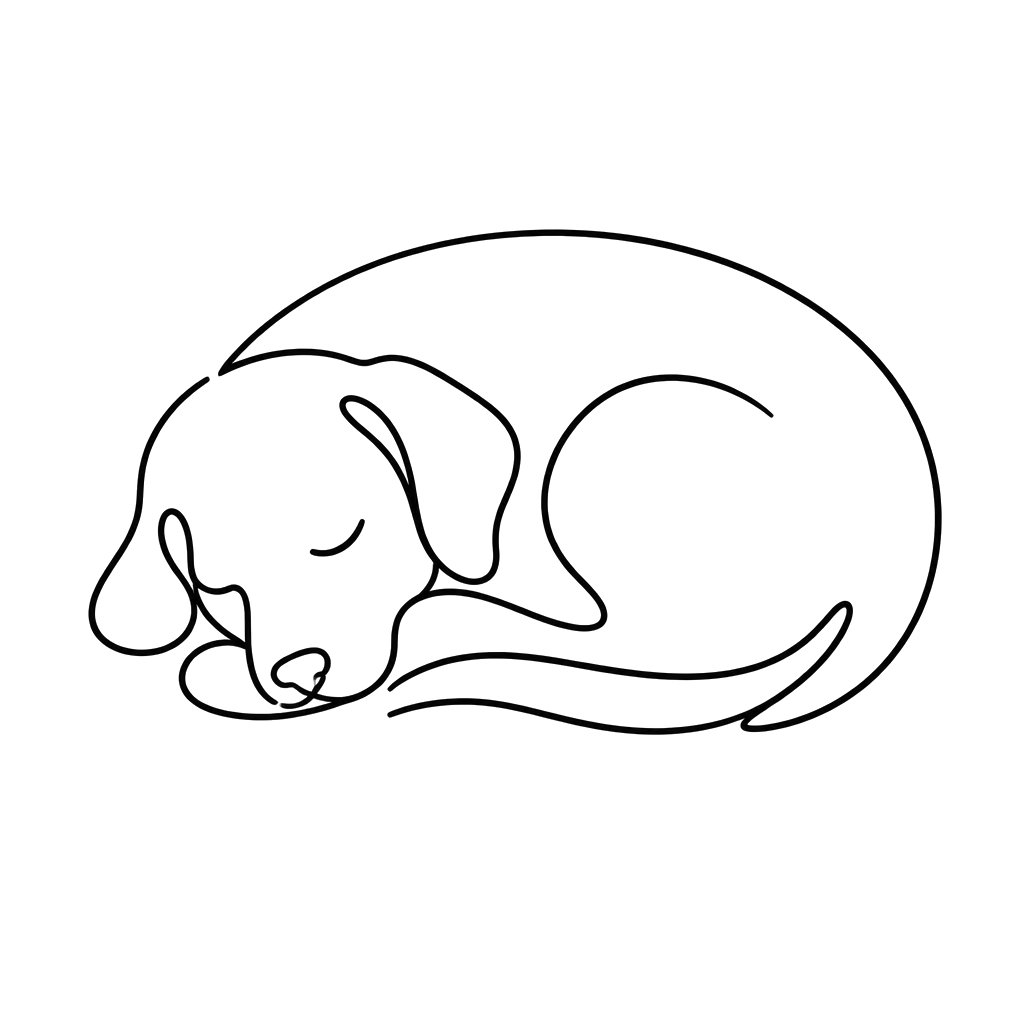 A sleeping dog curled in a single line