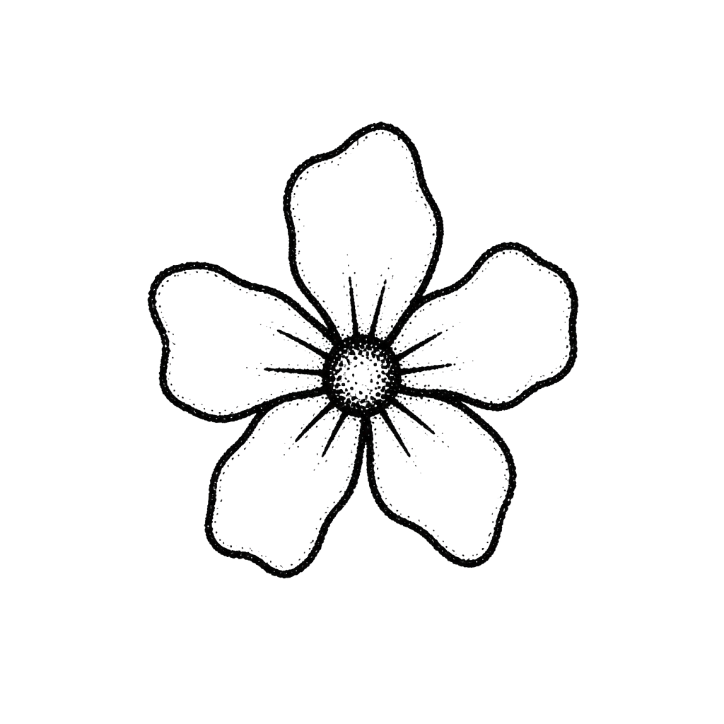 A flower with five crooked petals