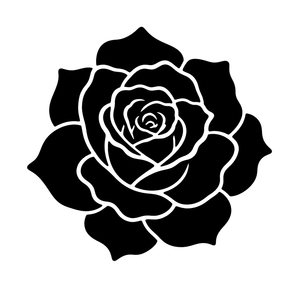 A rose in full bloom cut from solid black