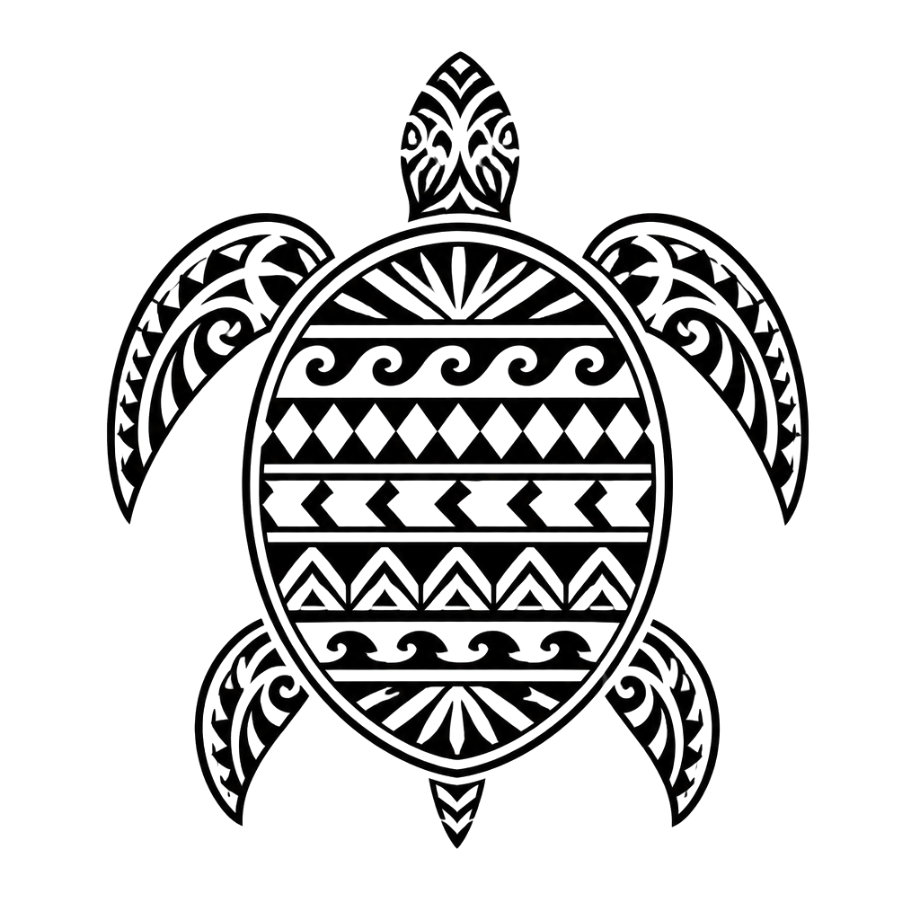 A turtle shell filled with rows of tribal pattern