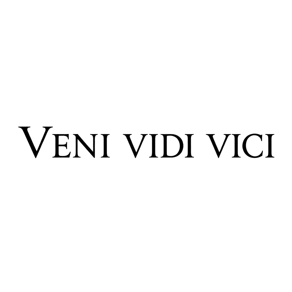 Veni vidi vici