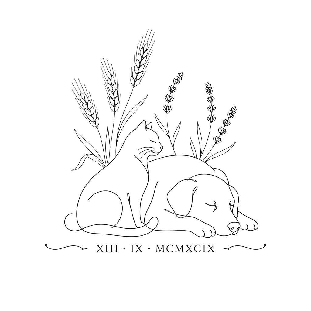 "A minimalist fine-line tattoo design suitable for a woman's forearm. The design depicts a continuous, single-line art style combining a graceful cat silhouette and a gentle dog silhouette lying down together peacefully. Emerging subtly from behind the animals are delicate wheat stalks (symbolizing Virgo) and small lavender sprigs. Below the animals, incorporated elegantly into the design, is the Roman numeral date: XIII · IX · MCMXCIX. The style is clean, black ink only, with no heavy shading,