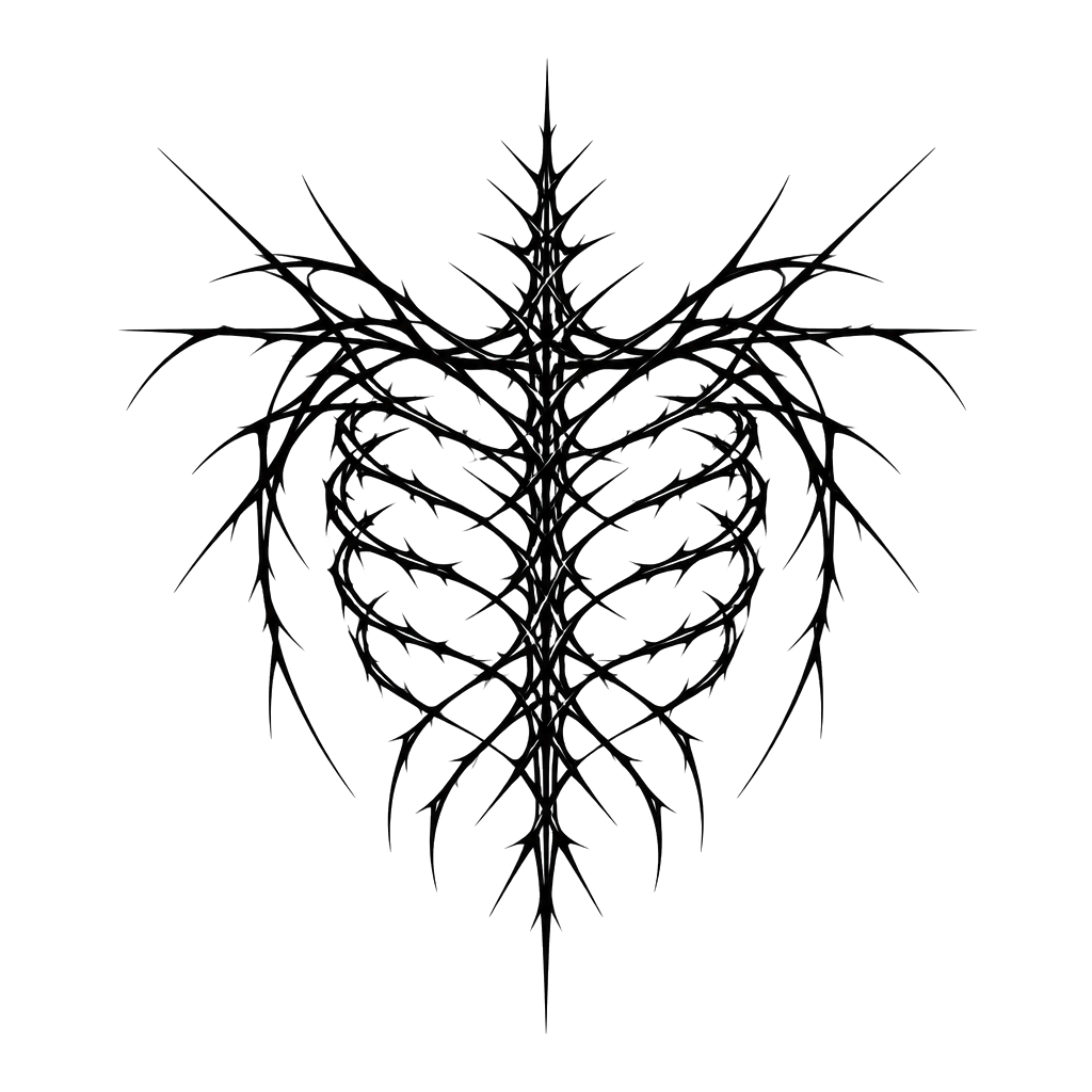 A barbed ribcage of hairline spikes spreading across the back