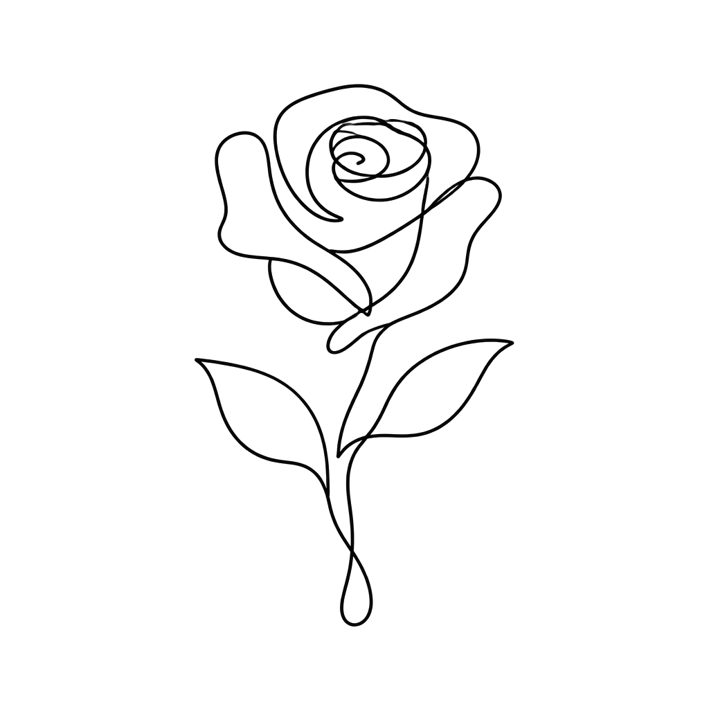 A rose drawn with one endless line