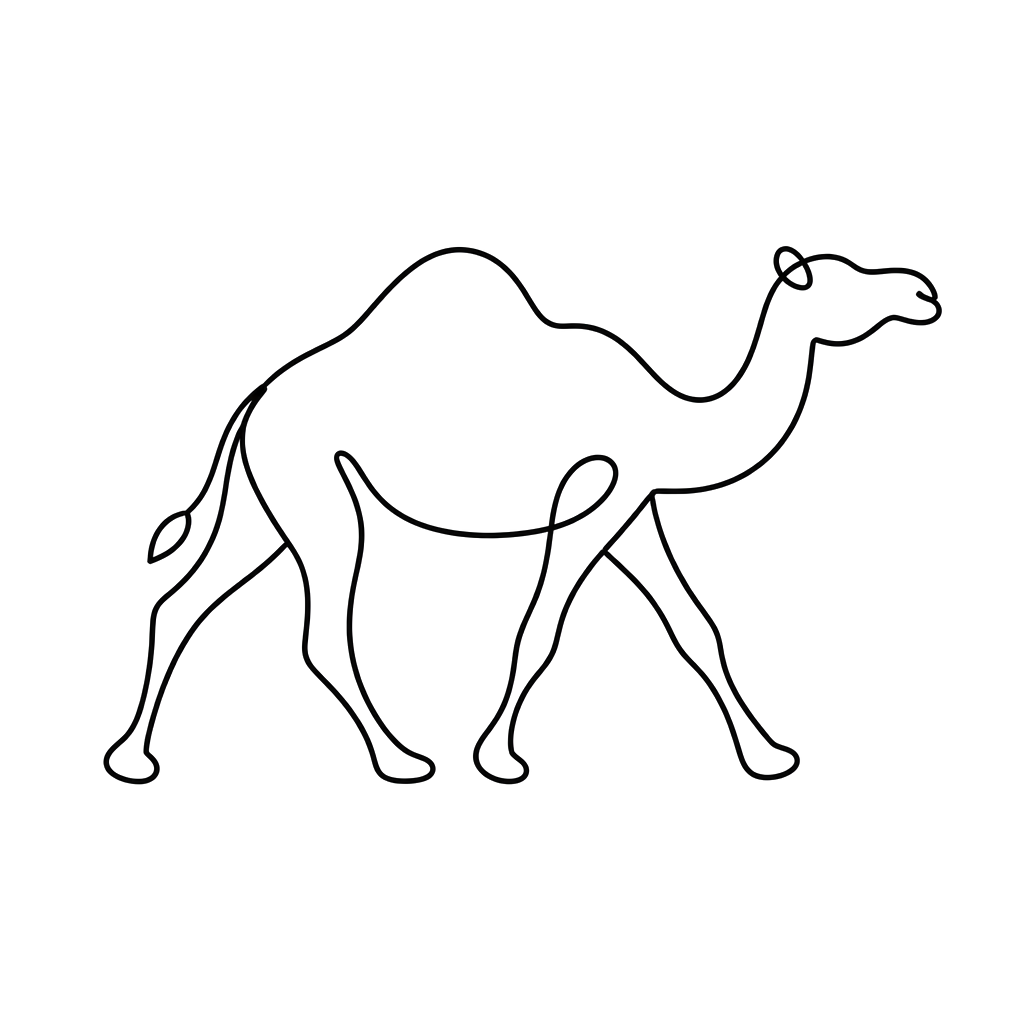 A camel walking in one rolling line