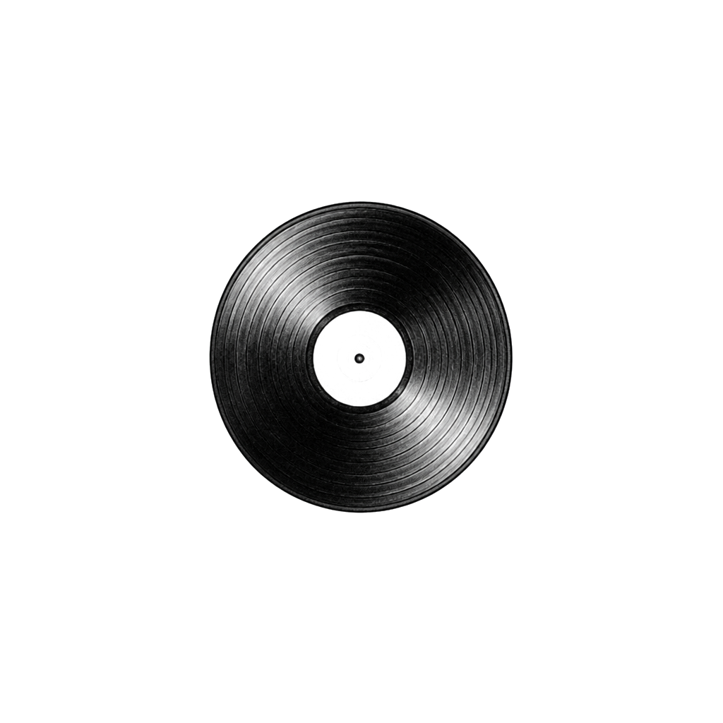 A tiny vinyl record with visible grooves