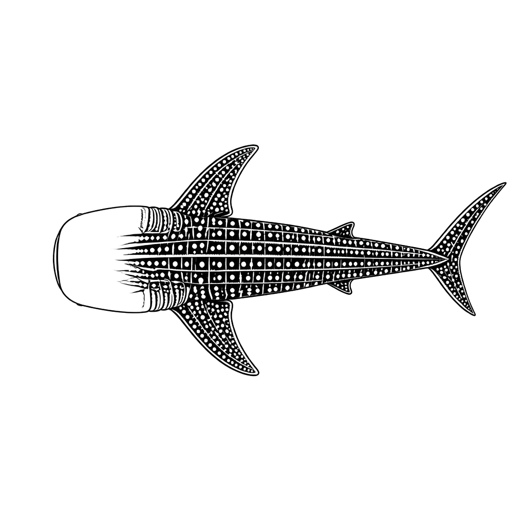 Whale shark