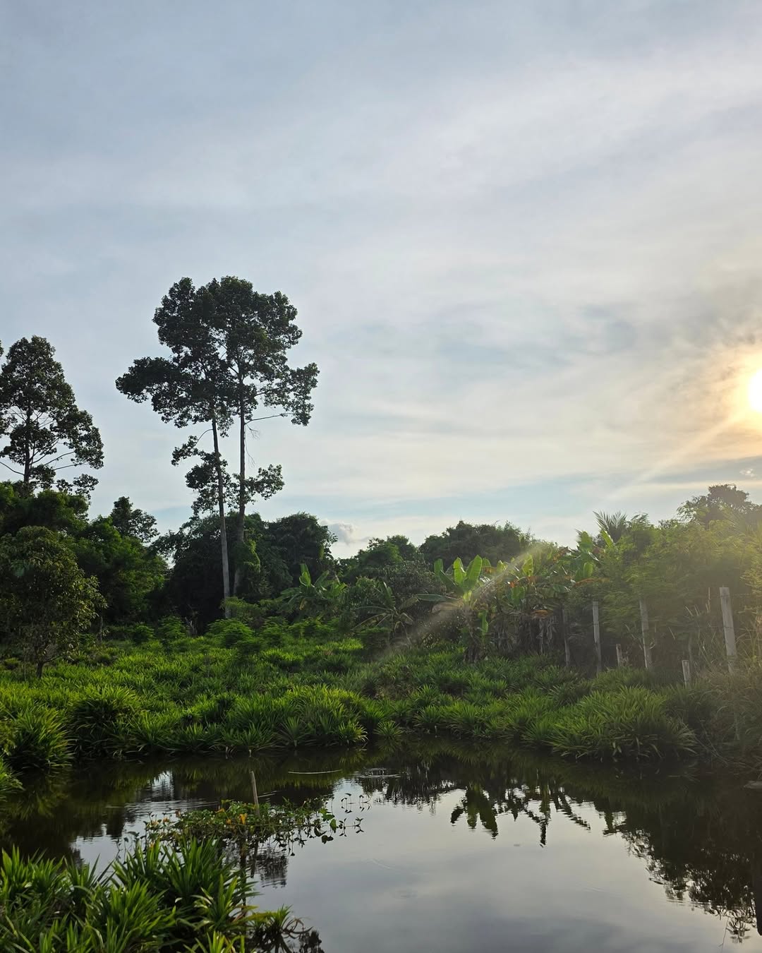 自然风光也这样美呀！