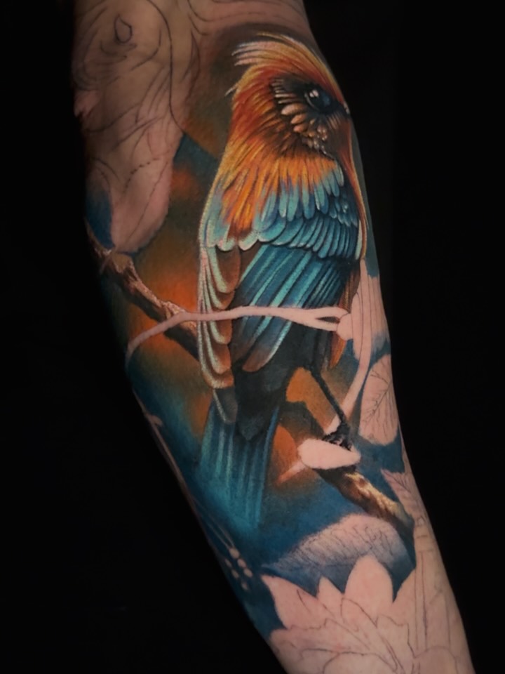 pajarito, brazo en proceso #adrinktattoo_96 #tattoo #ink #colourstattoo