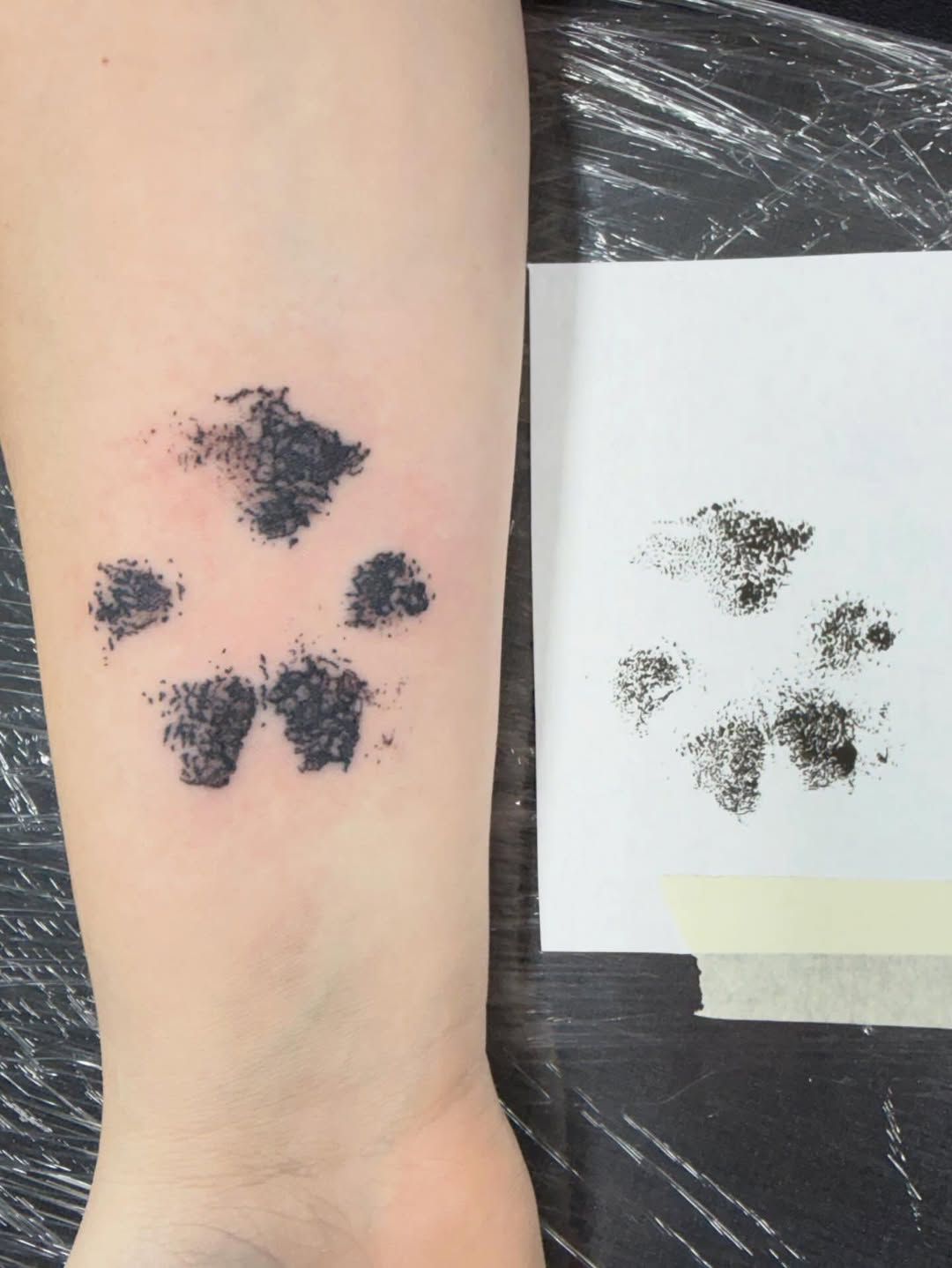 Paw print i had the honor doing #pawprinttattoo #tattooist #tattooartist #tattoostudio