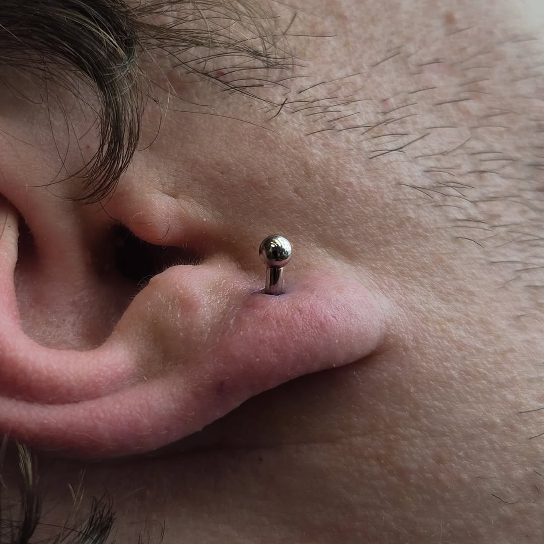 I am so excited to share these 12 gauge lobe piercing I performed!! My client was ready to start gauging their lobes and wanted to skip a few sizes. W