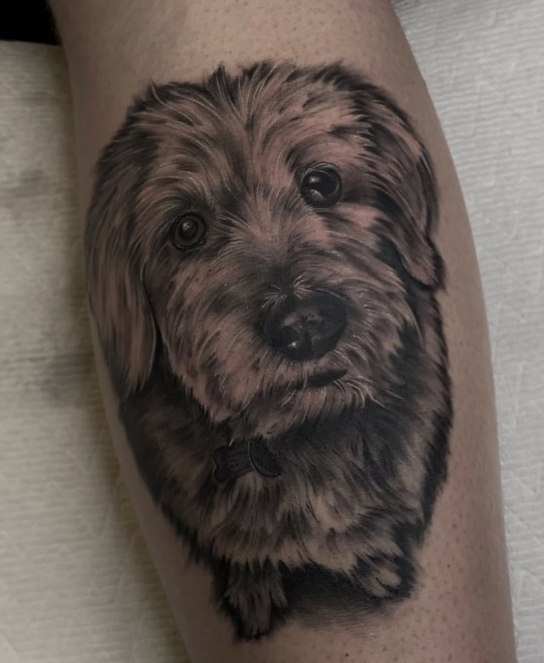 Throwback to one of my favorite pieces  
.
.
.
#dogsofinstagram #dogtattoo #dogportrait #portraittattoo #realisticink #realismtattoo #portrait #chicag