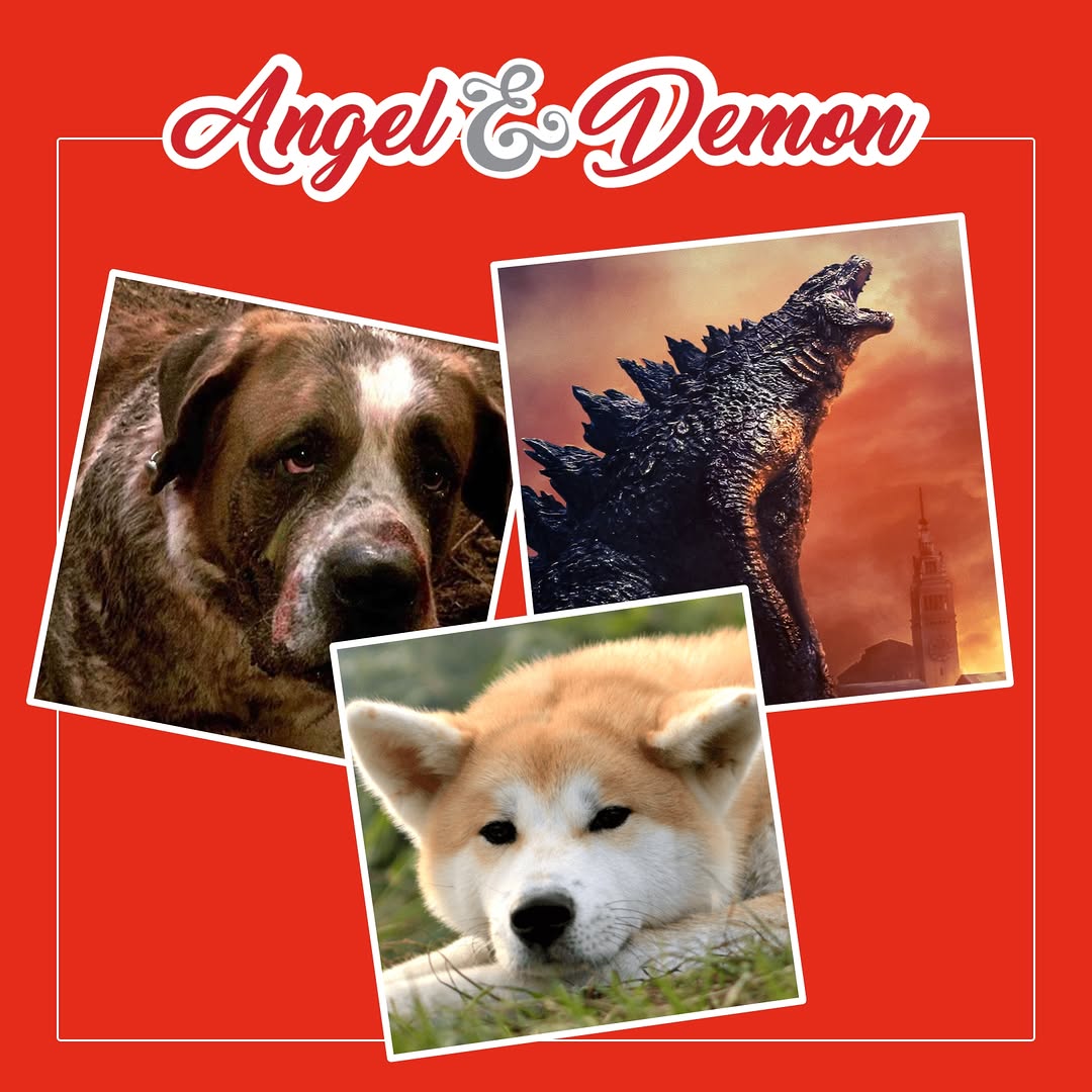        !
Deze maand draait alles om dieren die een speciaal plekje in je hart hebben. ❤️

Of het nu gaat om een trouwe viervoeter, een beest dat je kr