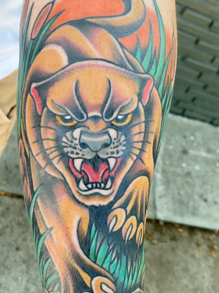 Flawda swamp cat for @geoff.moore.5