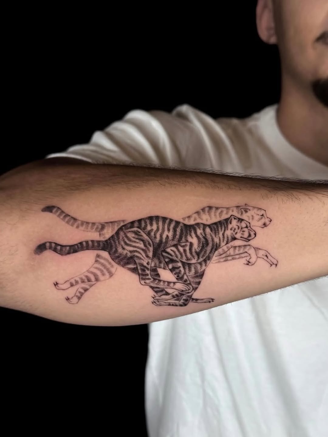 A personal story, reimagined in motion.

Inspired by the unique fur pattern of the client’s cat, this piece transforms that memory into a running leop