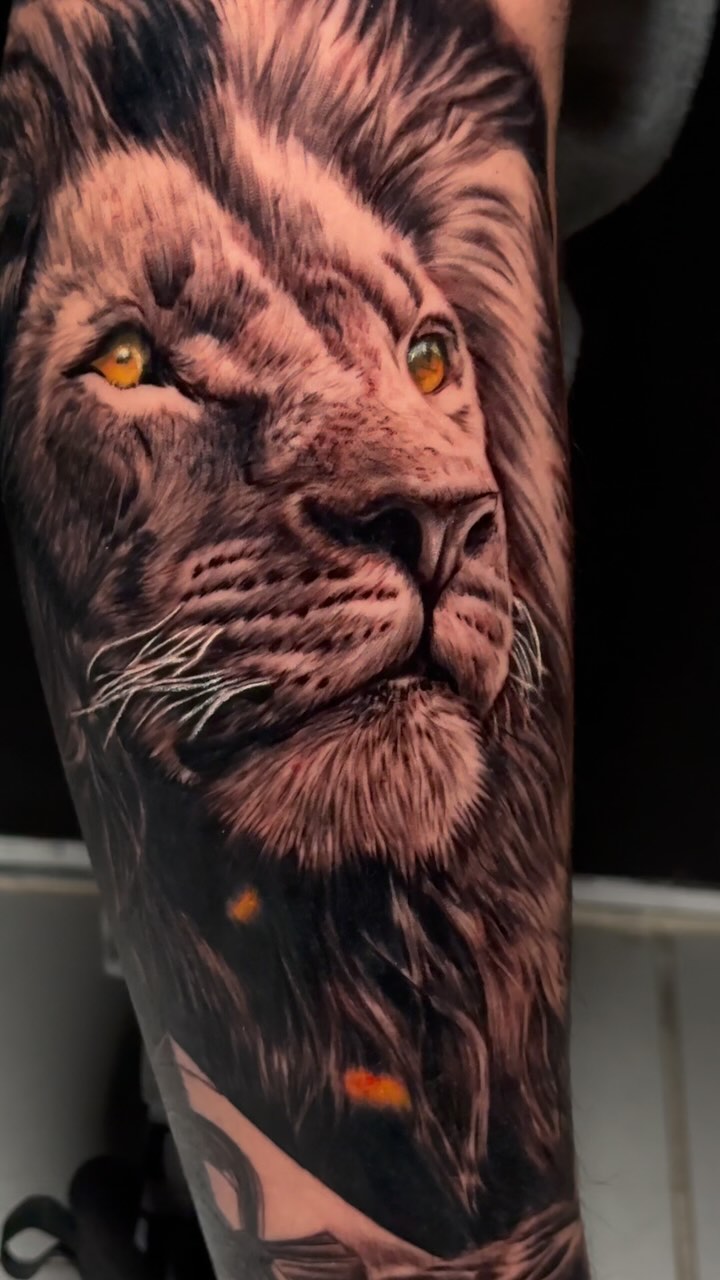 Own yourself and grow ❤️‍❤️‍

I would like to know your thoughts about this project ❤️

_____________________________________

@raventattoosupply 

__