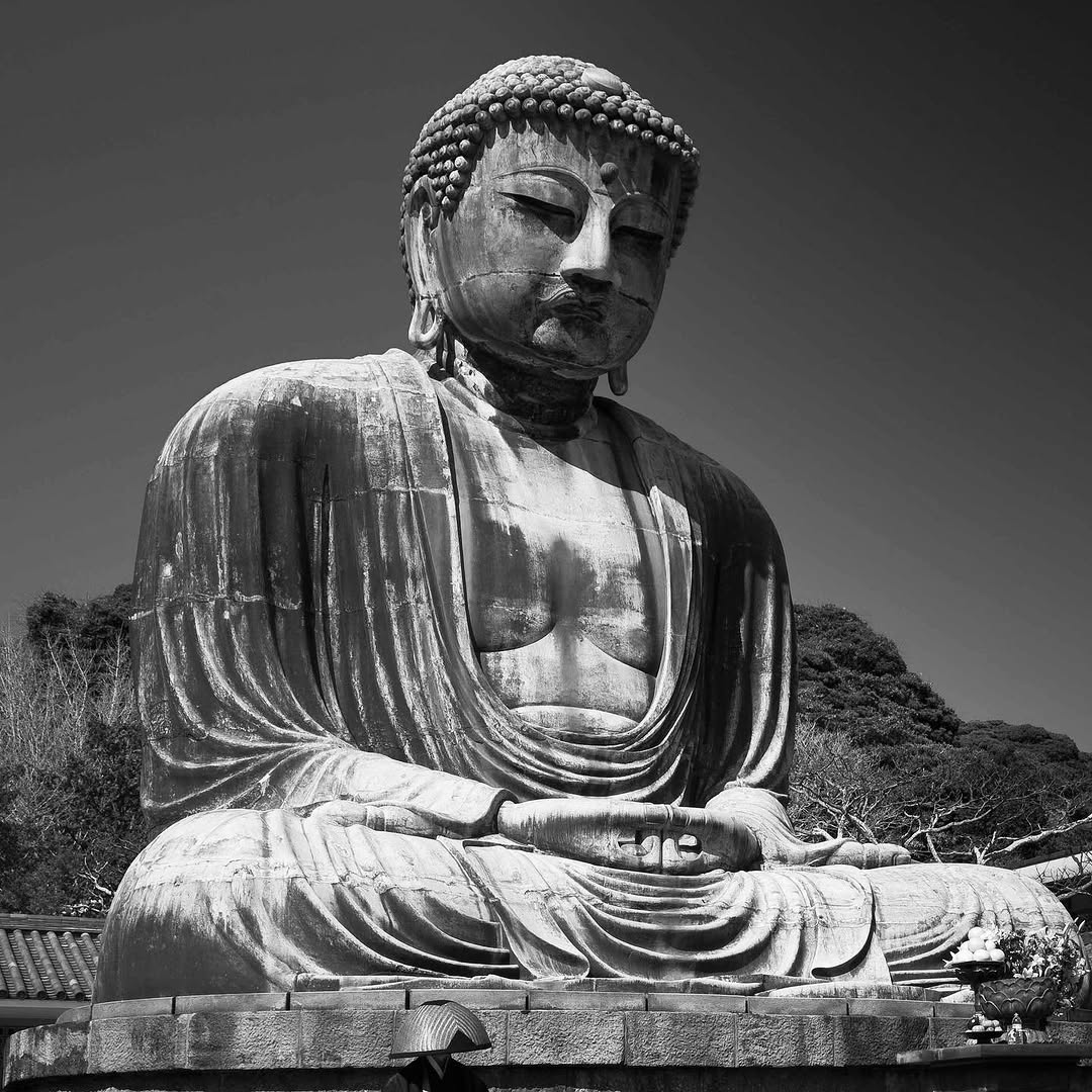 Buddhism teaches that life is full of suffering, in fact, the Buddha went as far as saying that suffering is inevitable.

However, he found a way out 