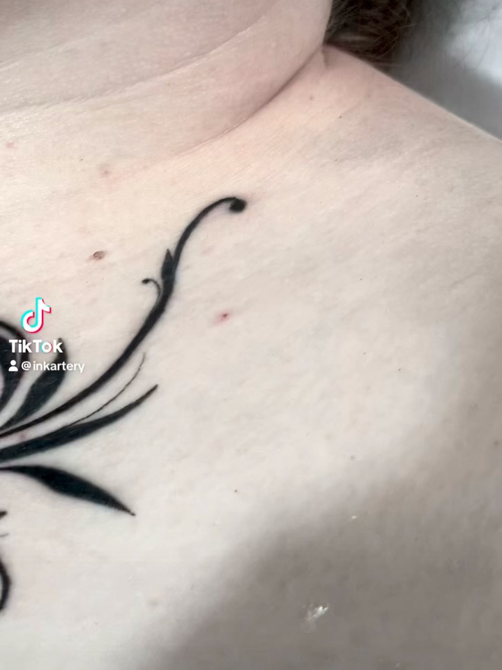 Did this portfolio over 2 sessions.
Thanks  @threadedclaw for the chats, cookies, comic and enthusiasm...came out super and you sat like a champ 