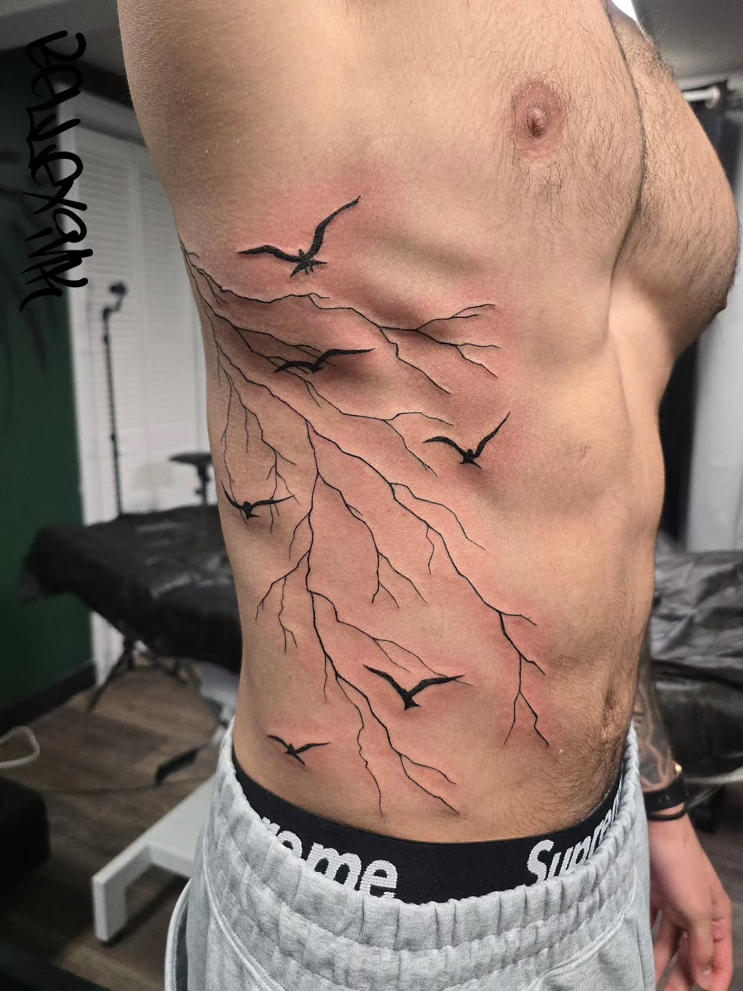 ⚡

--
#Toronto #tattooartist #Newmarket #lightningtattoo #birdtattoos