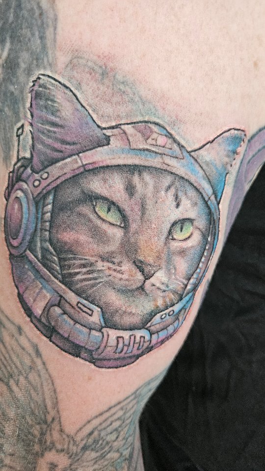 Space Cat!! 
.
#tattoo #cat #outerspace