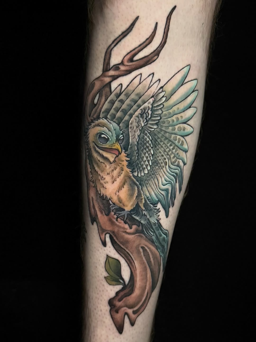 ✨ “You could know the what of something forever and never discover the why.” ✨
.
.
.
.
.
Custom Great Potoo for Max, inspired by his favorite book ser