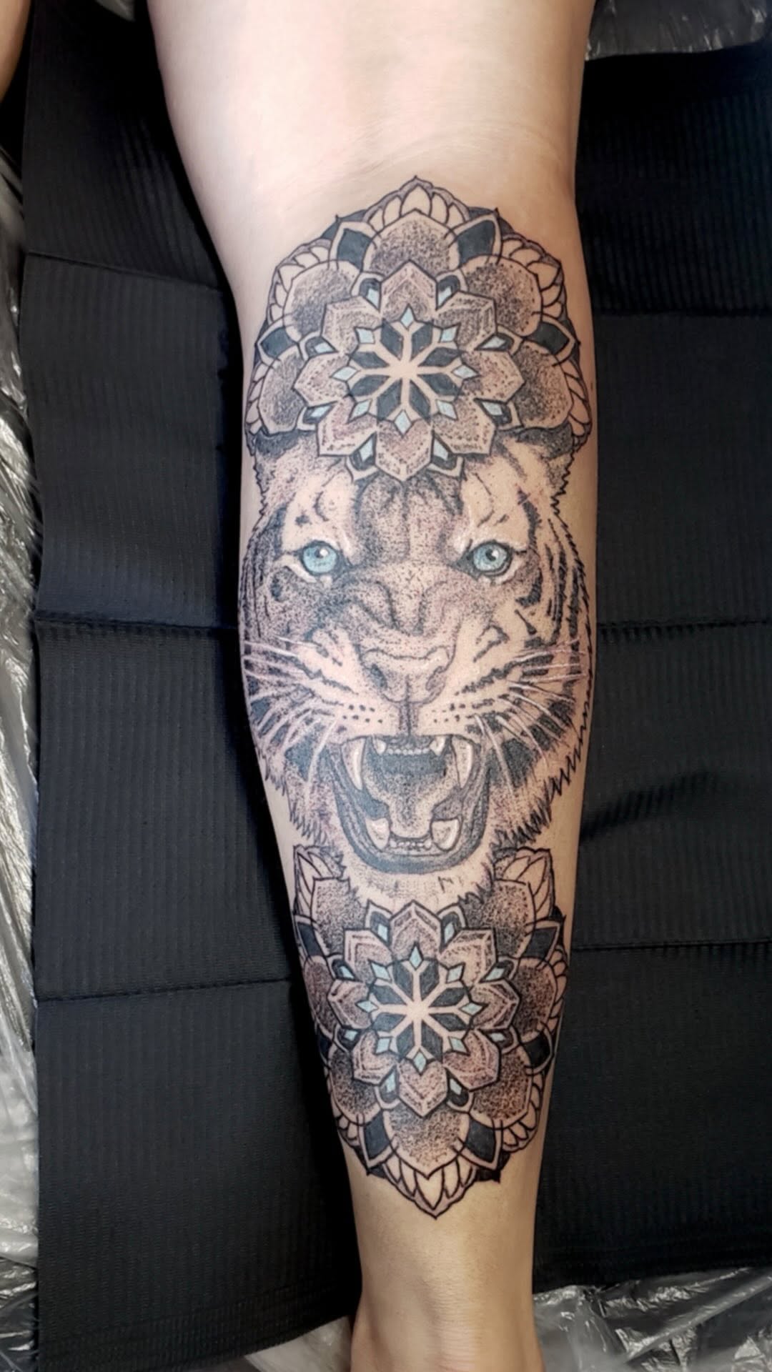 A big ol’ tiger leg tattoo 

#tattoo #mandalatattoo