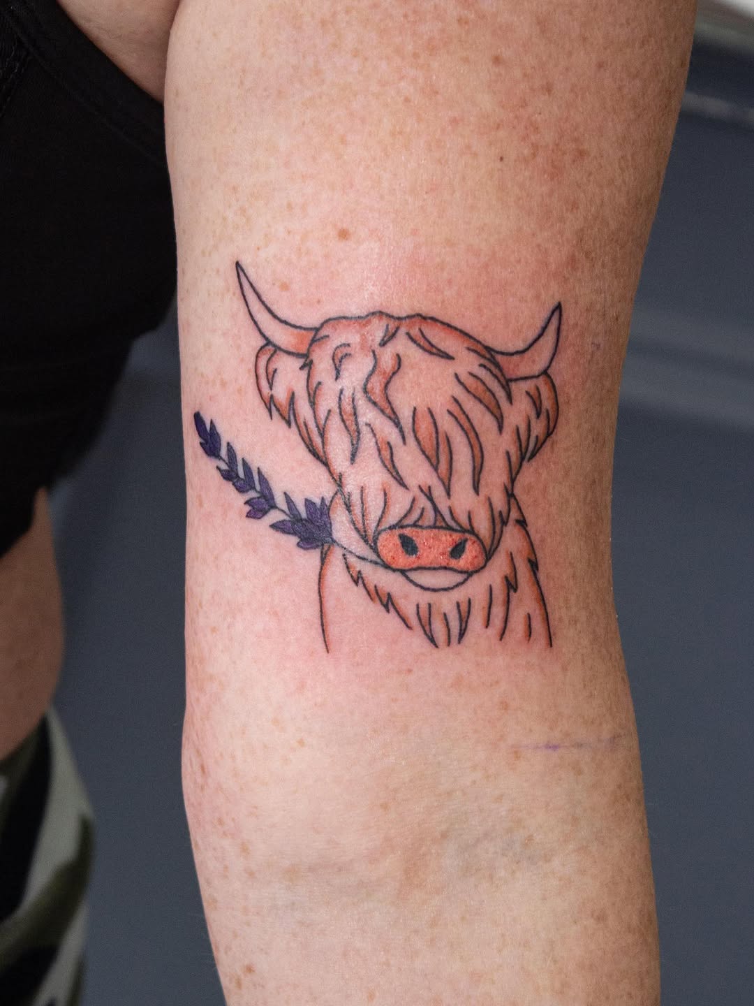 Cutest highland cow. 
Artist: @inked.by.sea 
.
.
.
.
.
#tattooapprentice #colourtattoo #highlandcowtattoo #cambridge #blackthorntattooco