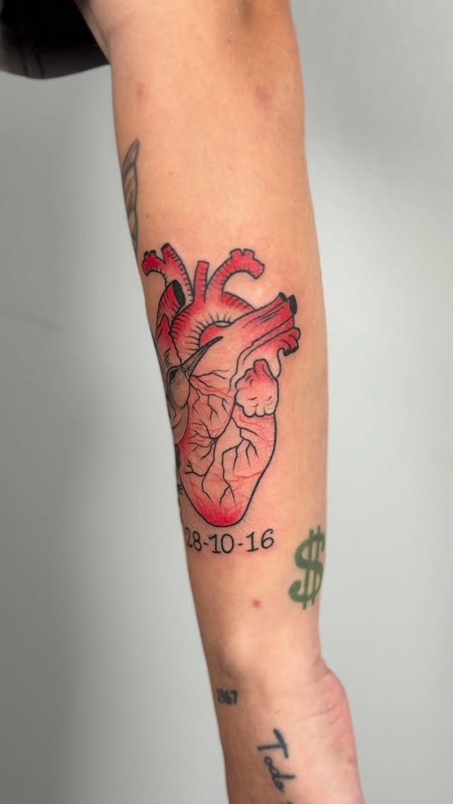 Hasta volverte a ver…️