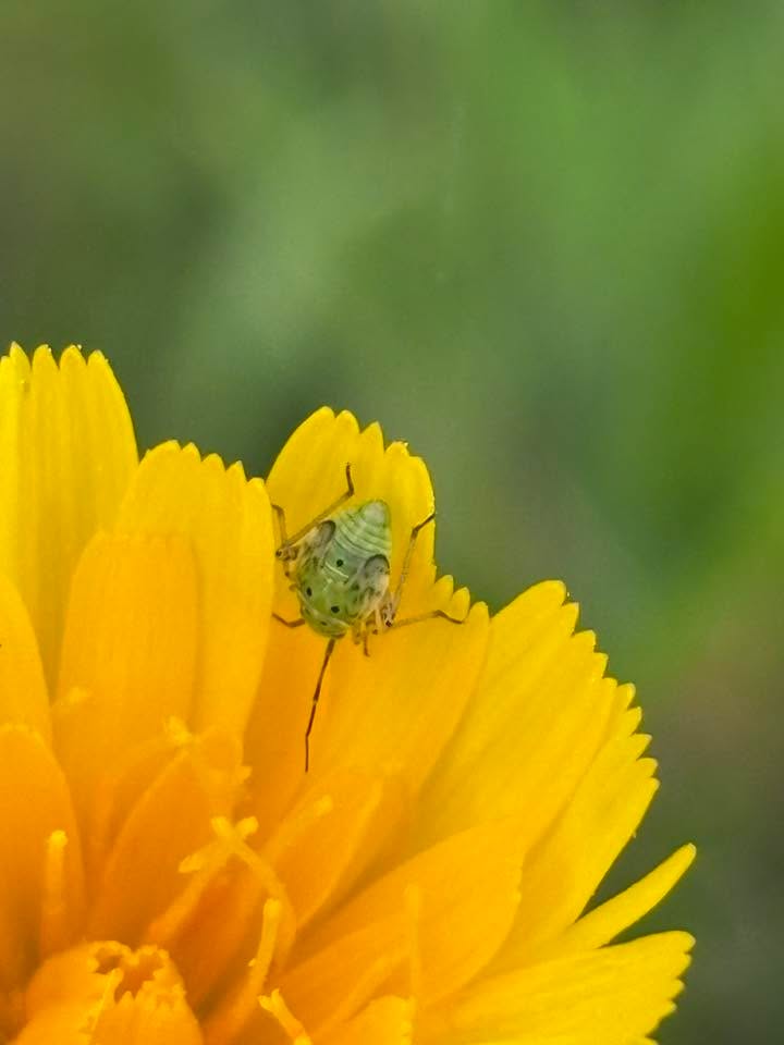 I had such a beautiful morning decompressing at my favorite spot. So grateful for days like today ♥️