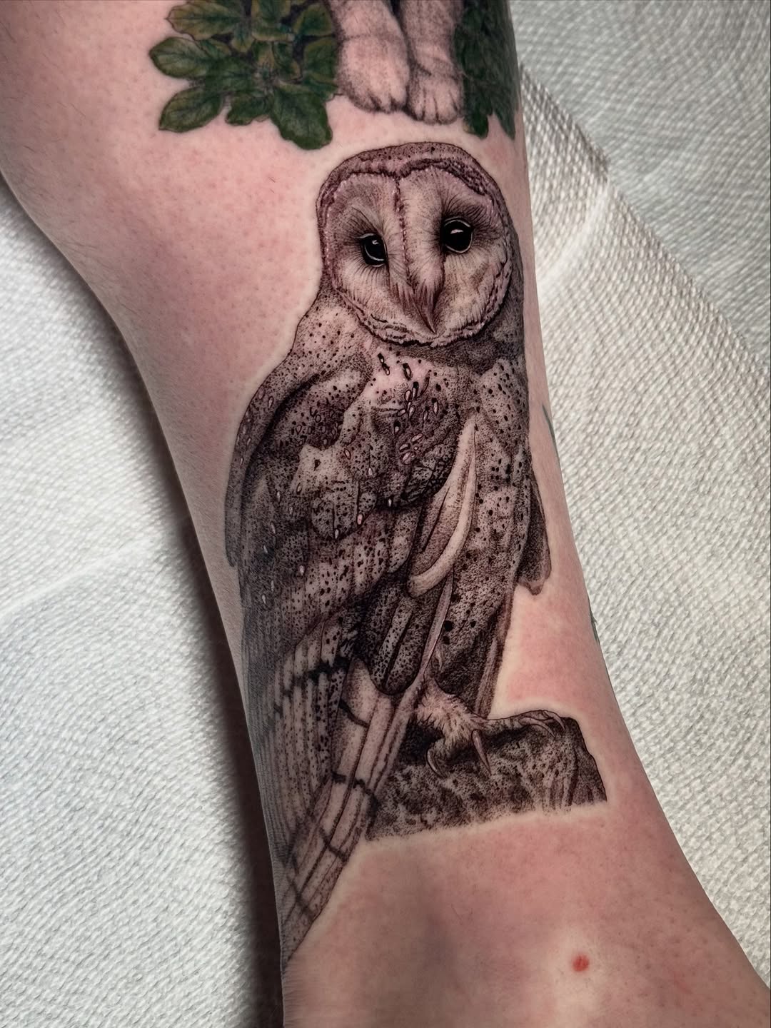 Beautiful barn owl  

Really been loving these animal pieces lately. Dm if you’re interested in getting one! 
