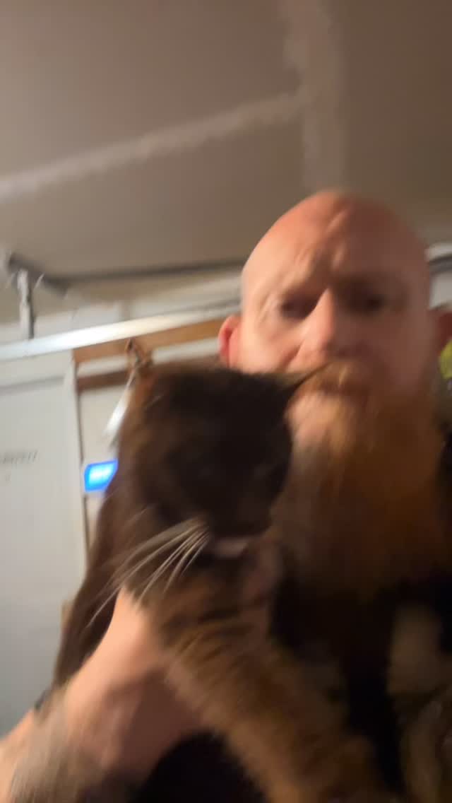 This little girl showed up at my house last night. I think it’s a girl lol she’s a brown tuxedo cat with beautiful green eyes that have seen the world