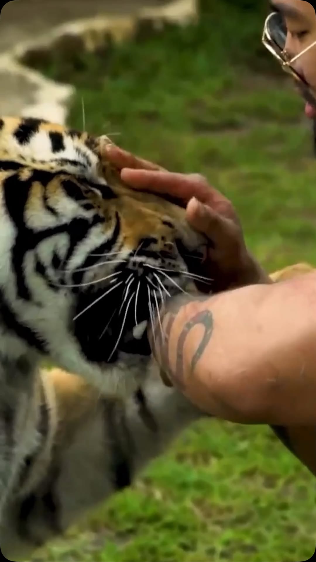 Tats by @bulltattoos_04 @repeattattoostudio . Keren banget, bisa nutup luka dan tato asal2an yg super susah jadi gambar yg keren dan flownya ttp asik!