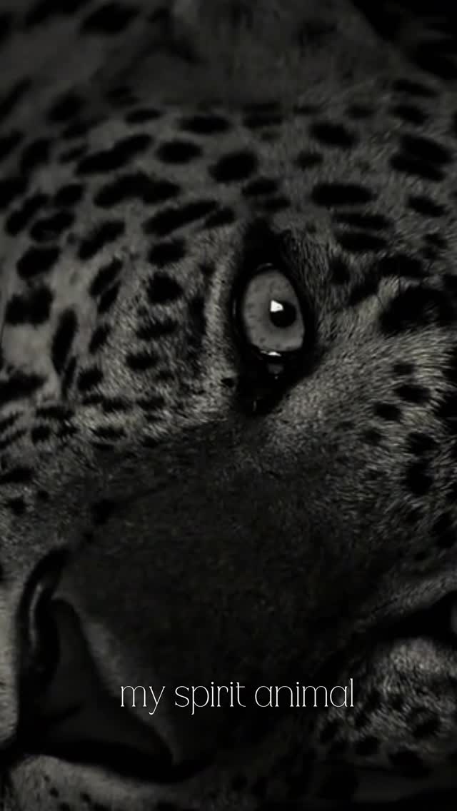 @martinslarahelena @madhousetattooshop cartucho 06/08 . 10/09