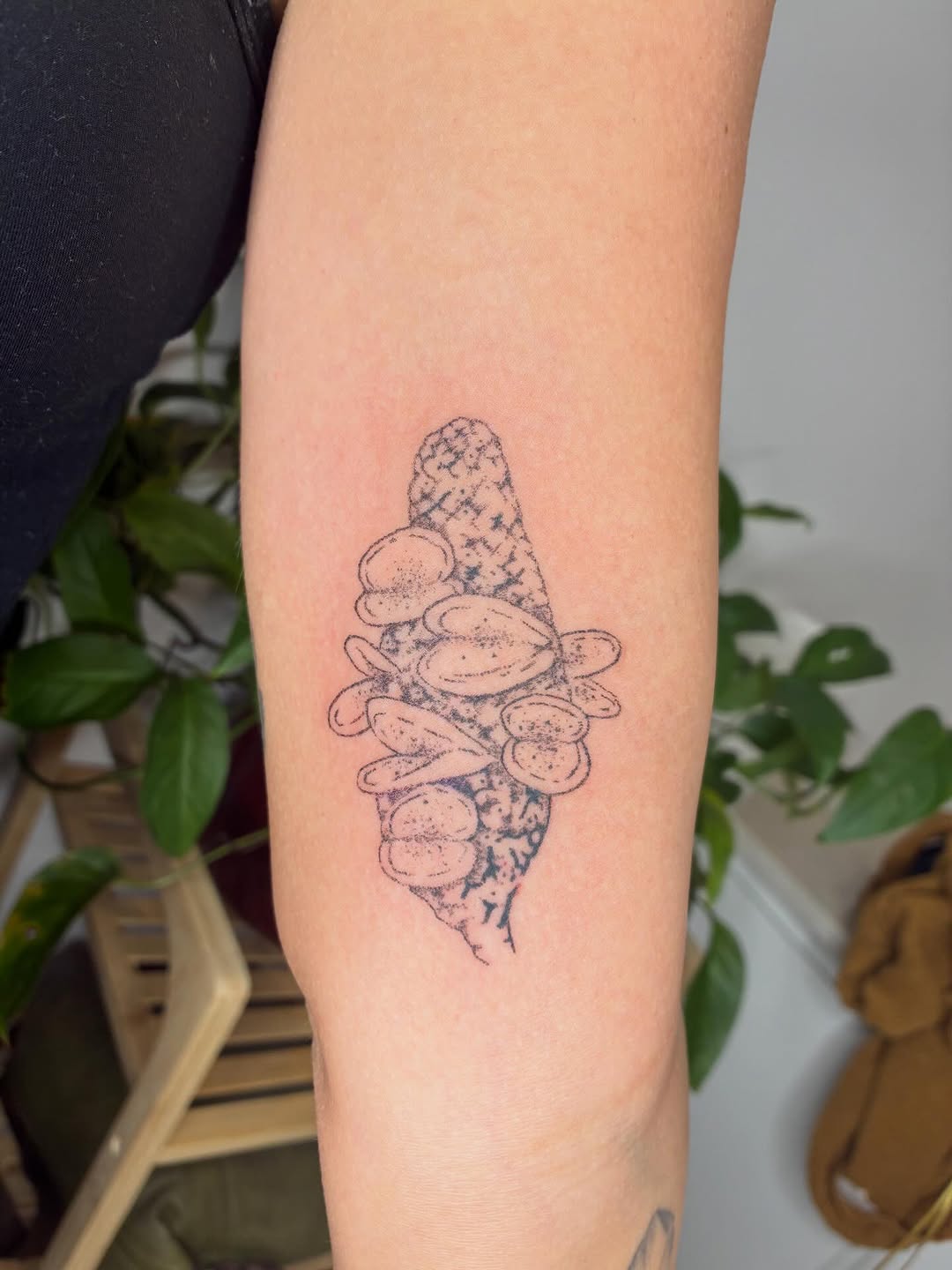 Been a busy couple weeks! Thanks to everyone who’s been in for a tat, you’re the best xo