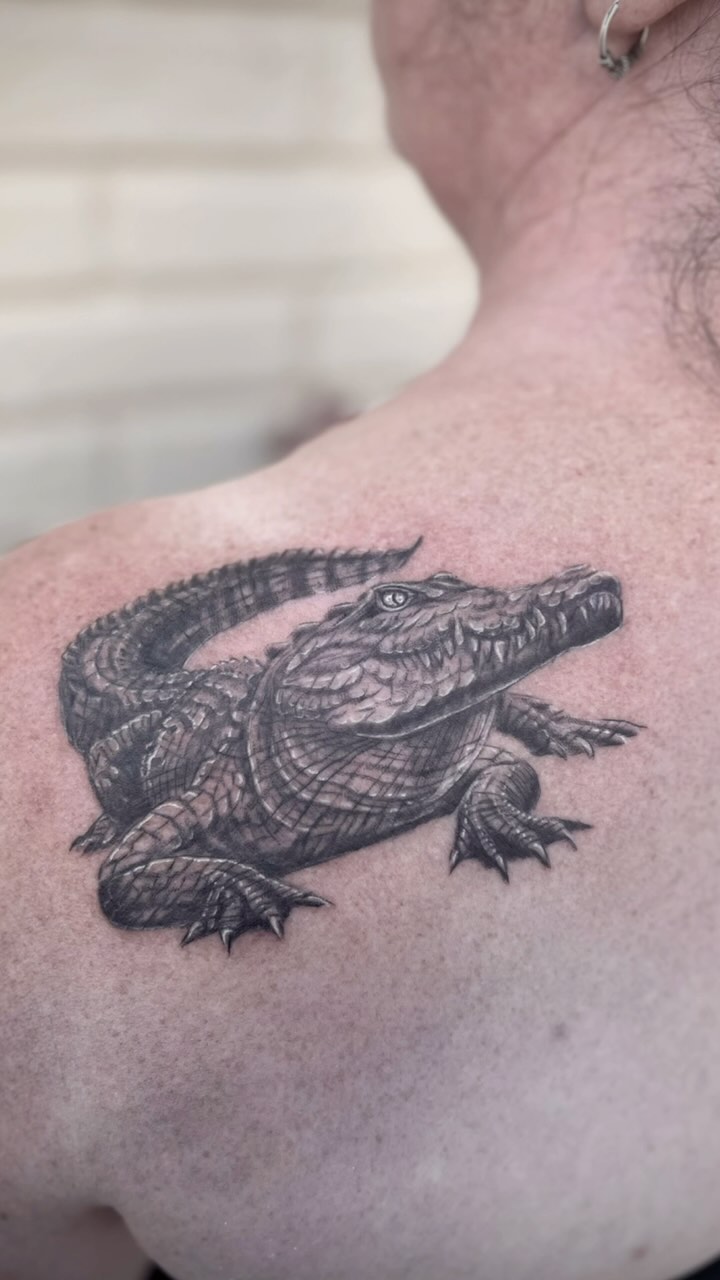 Really enjoyed tattooing this alligator ! DM me for scheduling 
#alligator #tattoo #reptile #reptiles #dinosaur #alligatortattoo #realism #florida #il