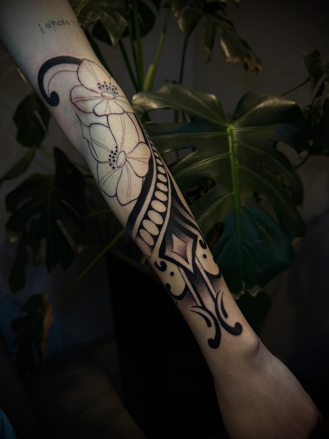 Primera sesión de este proyecto ornamental 
CITAS DM O WHATSAPP 5536776138