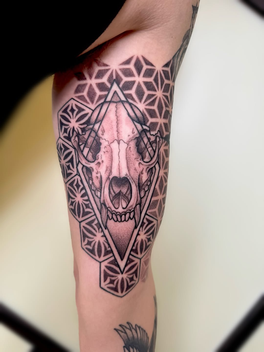 Lines healed, shading freshhhhhh on this killer addish to @shenandygans23 ‘s arm  Stoked to keep adding!