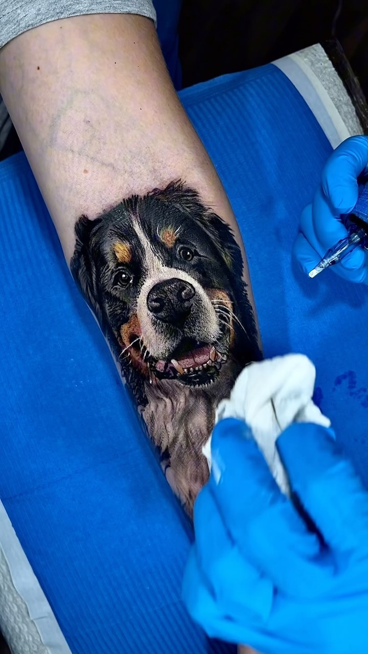 Ya estamos de paso, dejemos huellas bonitas 
Homenaje a  un amigo 
#tattooart #tattoodog #tattoocolor
