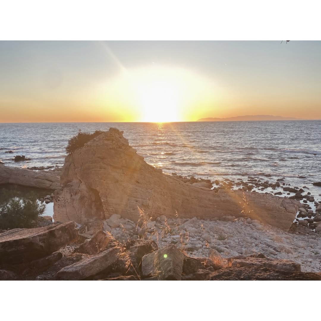 Tattoo by CatBlue Tattoo          Belgin Çeliker