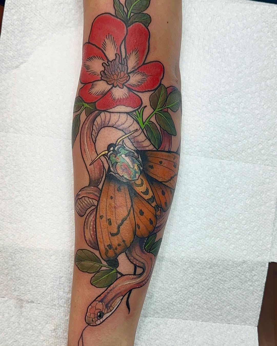 A rendition of my clients snake with a moth and an opal last night.

#illustration#illustrativetattoos#tattoo#neotraditional#vintagetattoo#vintage#bot