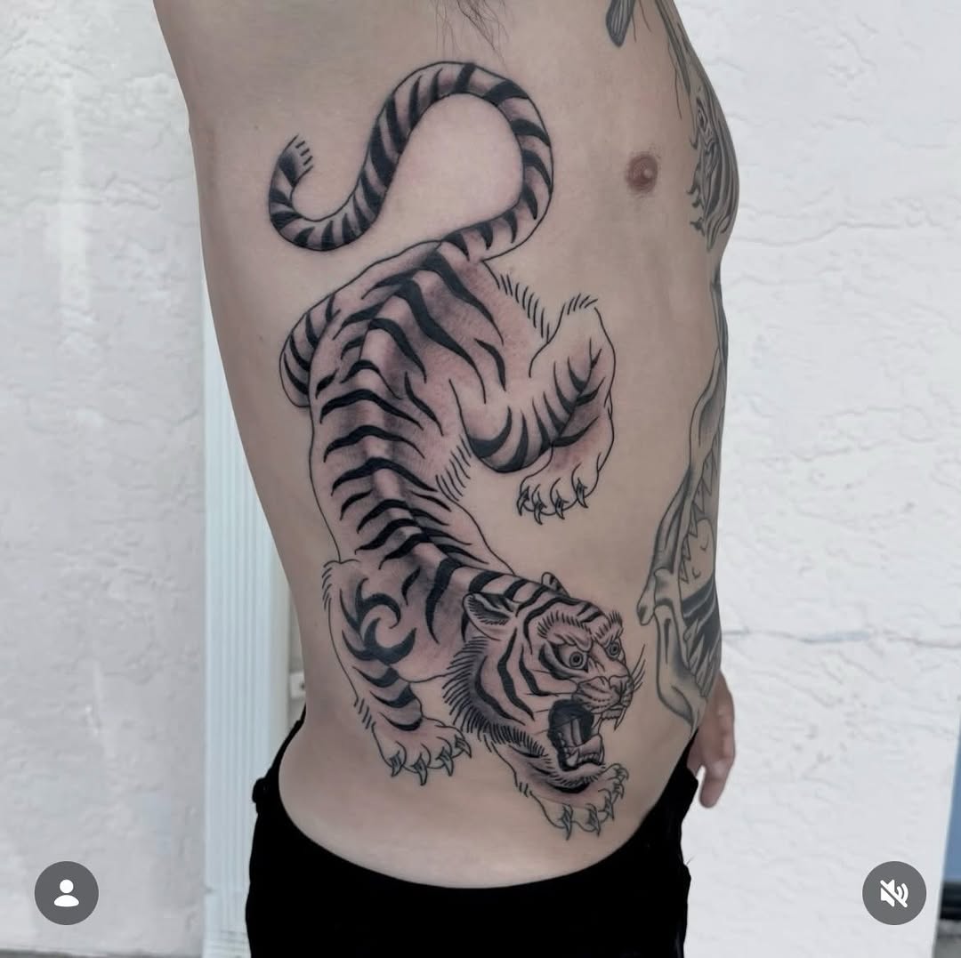 Tiger by Steve