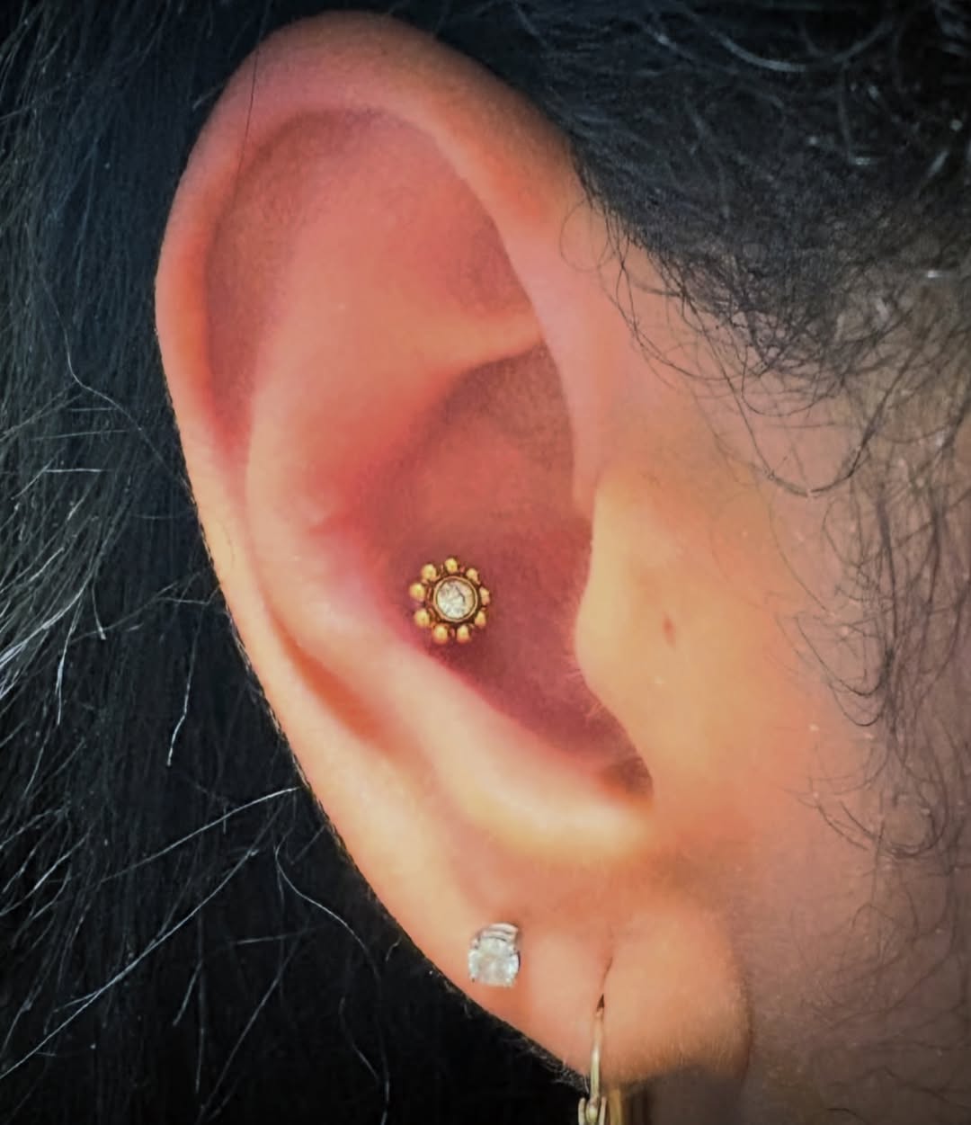 Conch piercing done by @piercedbythevibes ✨