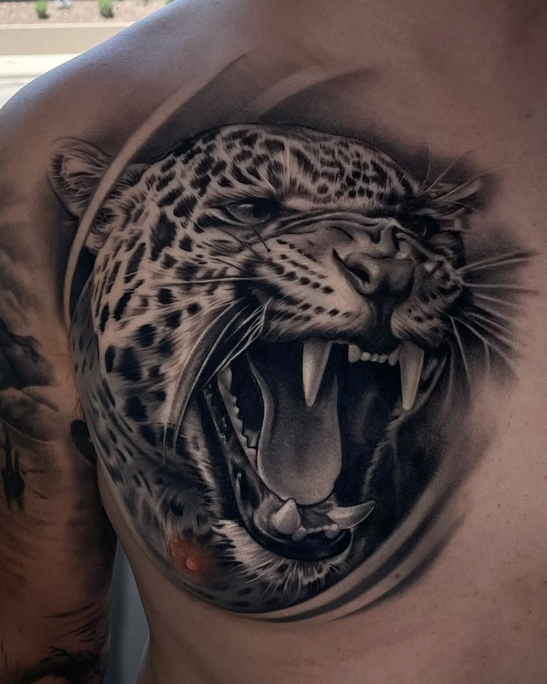 Fully healed, 2 sessions on this Jaguar chest piece.

• DM for inquiries •
(Booking details in my highlight story)
•
•
•
#jaguar #jaguatattoo #tattoo 