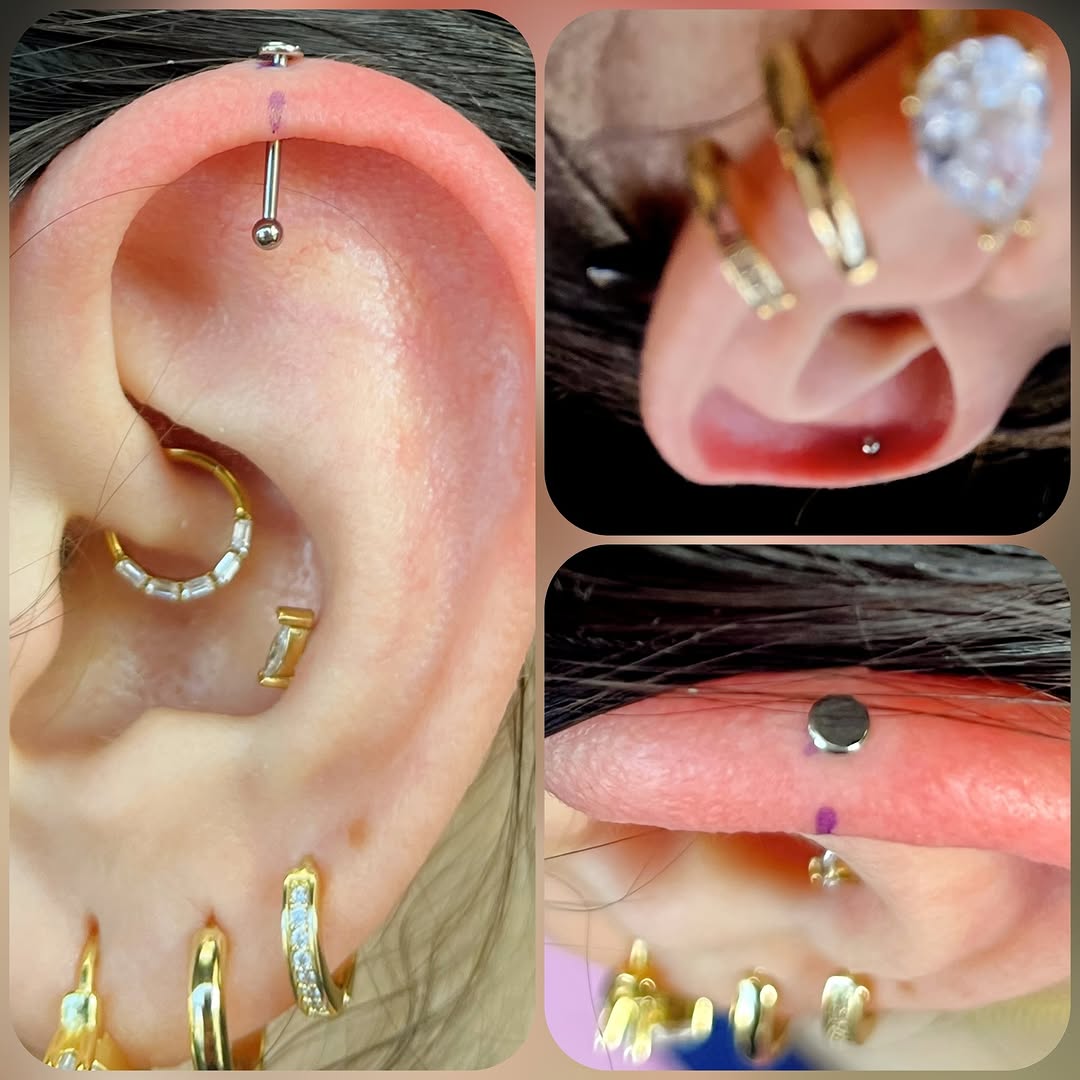My recent favorite piercing to do/see - Vertical Helix

Slides 1-4 are from yesterday (04-09-26)
Slide 5 (different client) was from a week or two ago